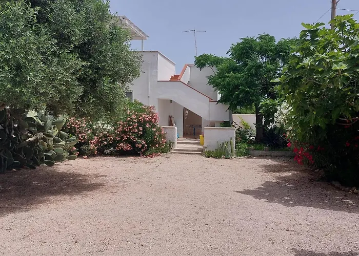 Lucky فيلة بونتا بروسسيوتو