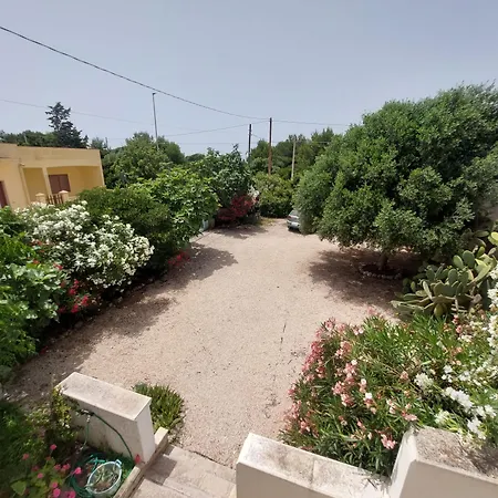 Lucky プンタ・プロシュート