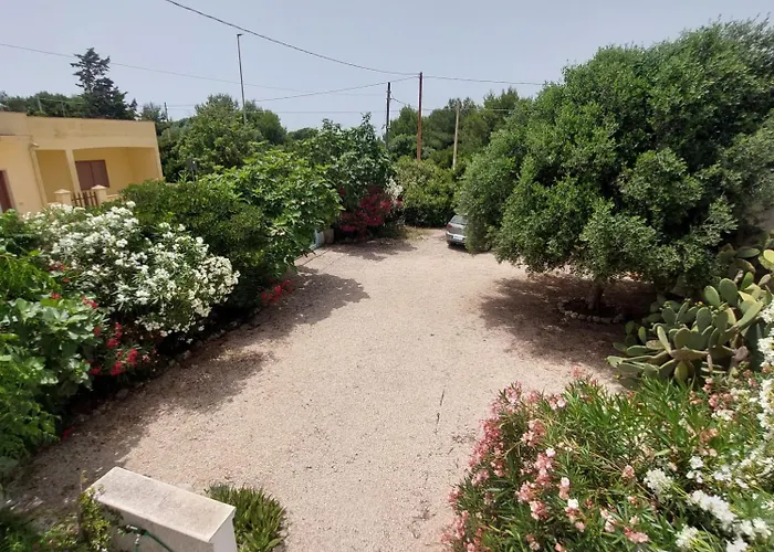 Lucky פונטה פרושוטו